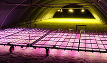 Gain more playing hours with energy-efficient artificial lighting